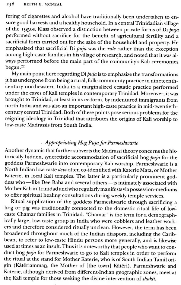 Encountering Kali - Image 10